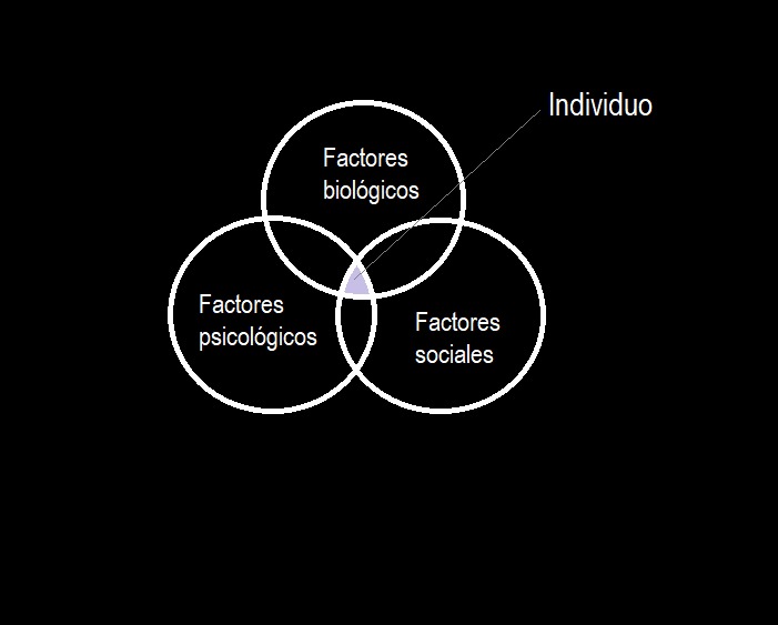 Fourth slide